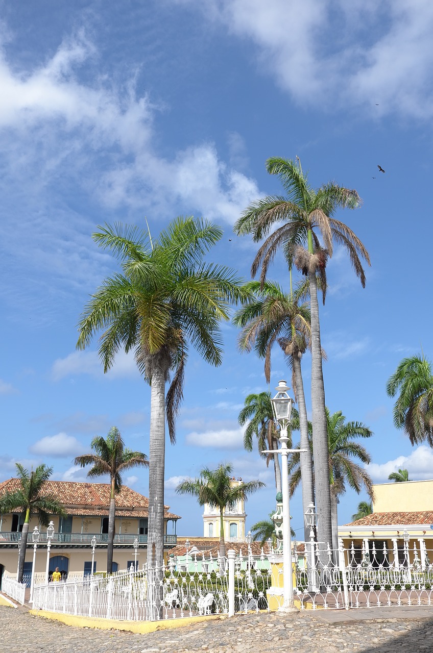 cuba trinidad palms free photo