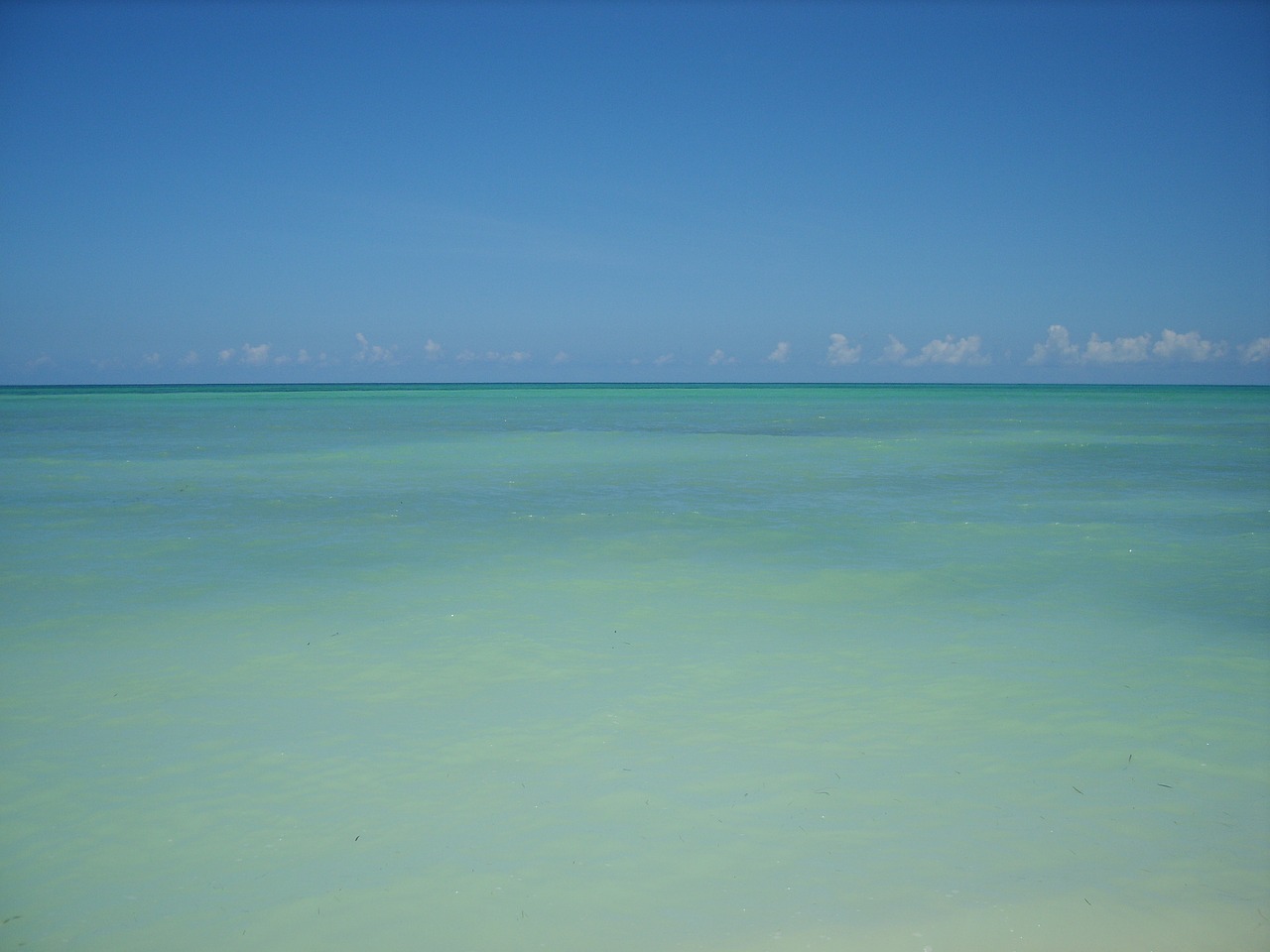 cuba cayo levisa caribbean free photo