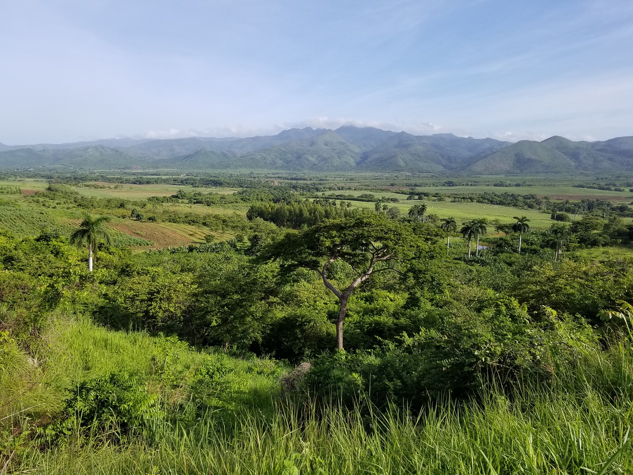 cuba caribean country free photo