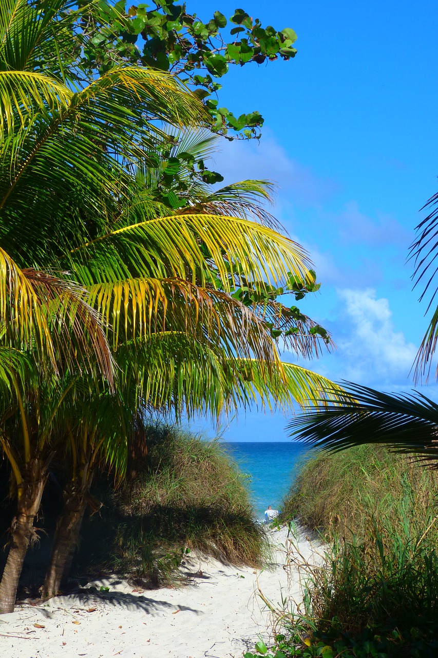 cuba paradise sea free photo