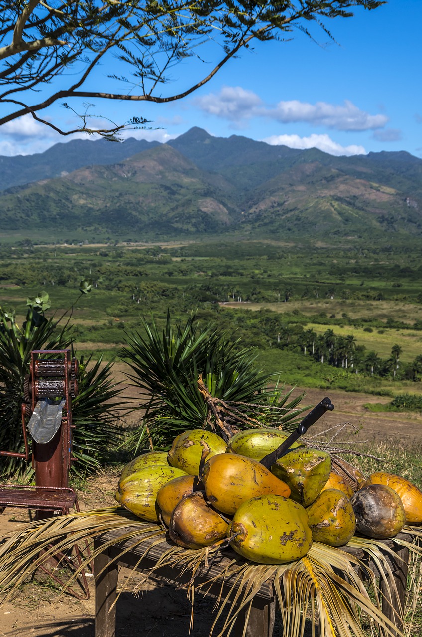 cuba trinidad coconut free photo