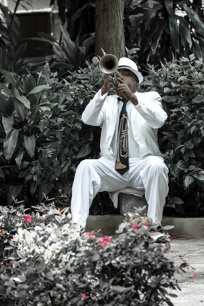 cuba  havana  trumpeter free photo