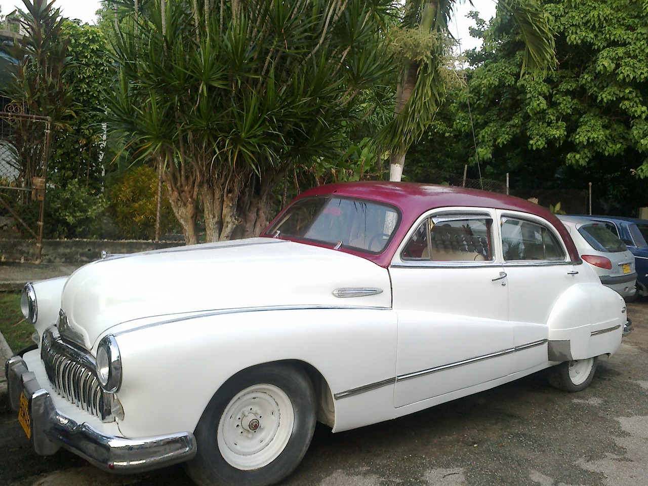 cuba car havana free photo