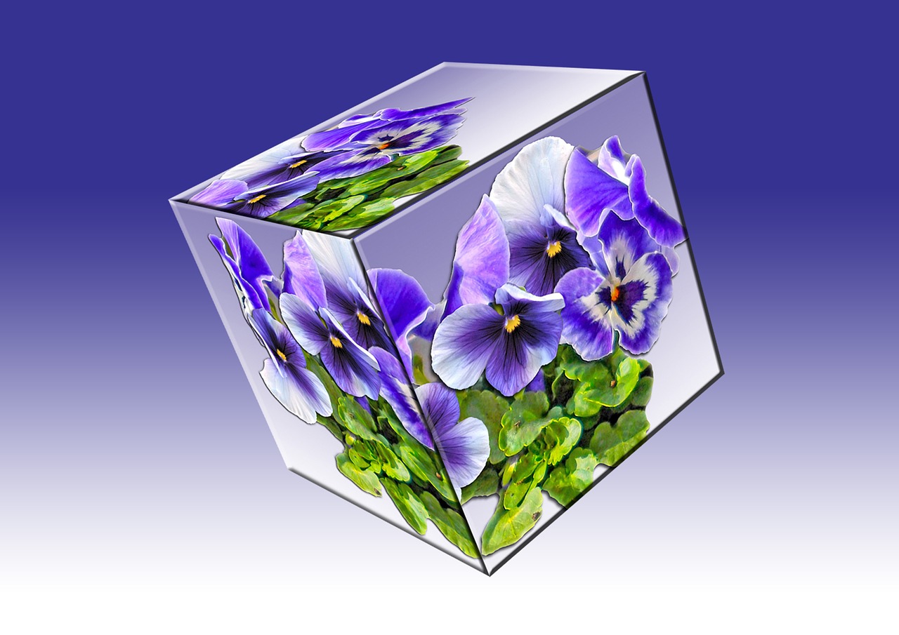 cube floral cube pansy free photo