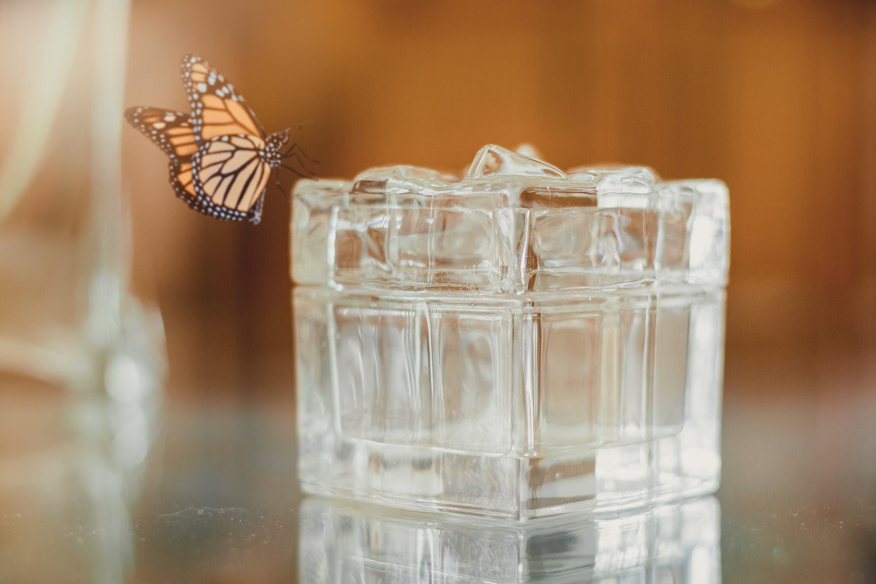 cube butterfly glass free photo