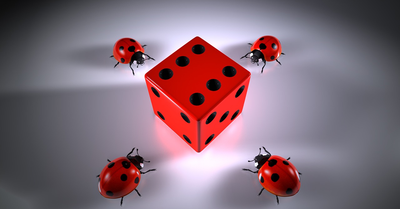 cube lucky ladybug puzzles free photo