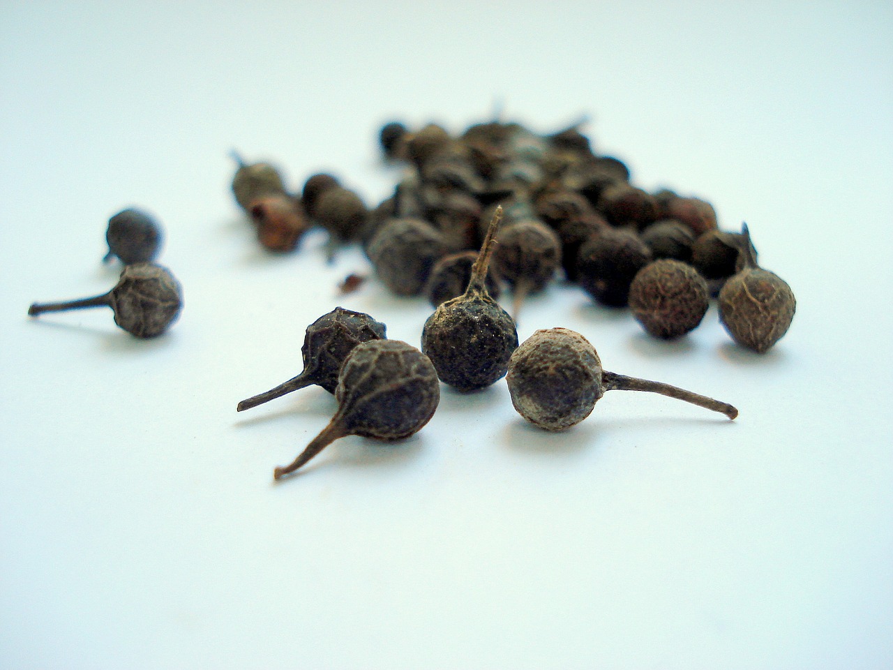 cubeb kebabiye tailed pepper free photo