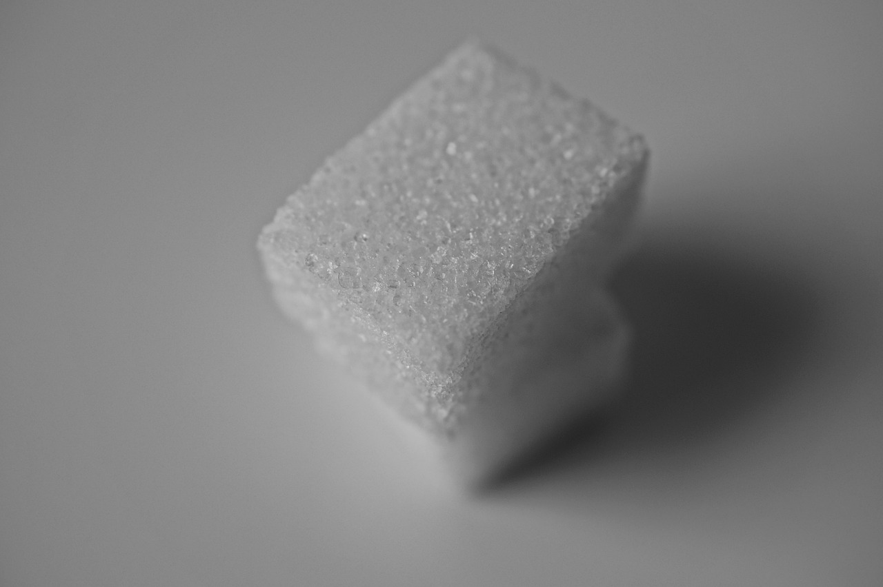 cubes sugar still life free photo