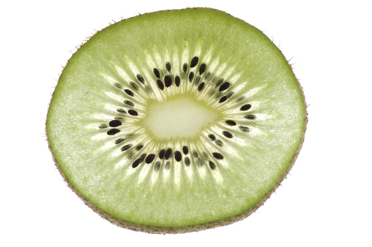 fruit kiwi macro free photo