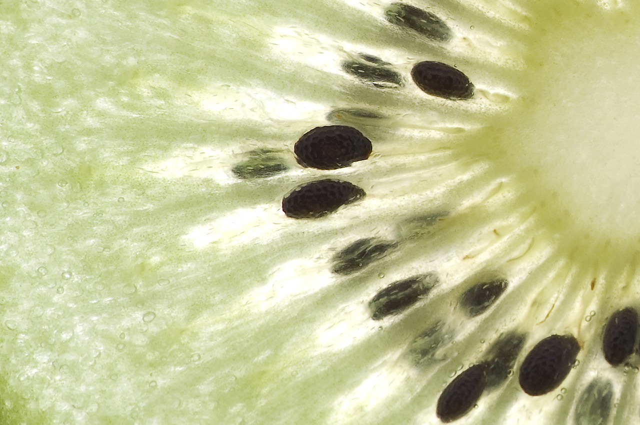 fruit kiwi macro free photo