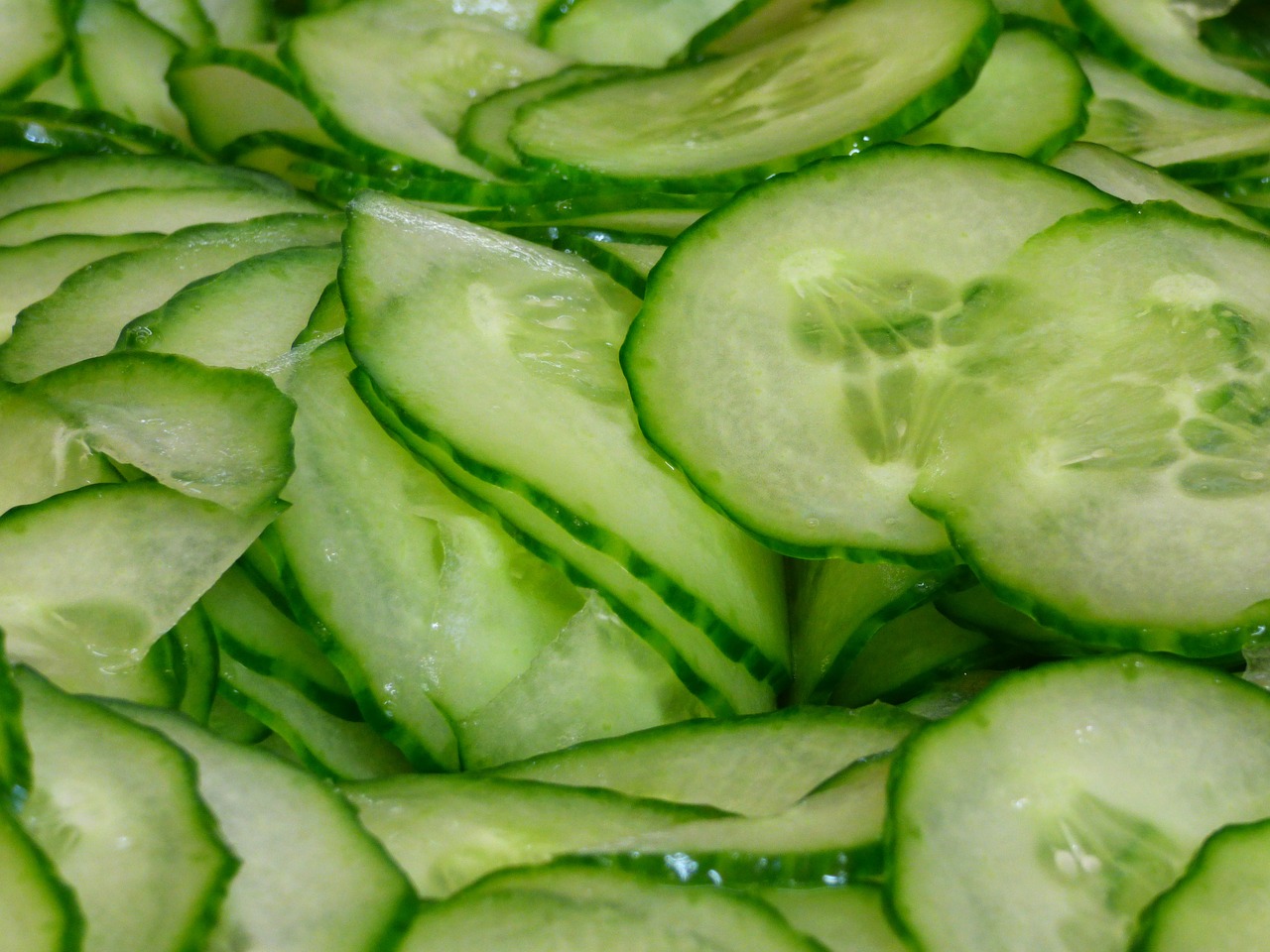 cucumber discs salad free photo