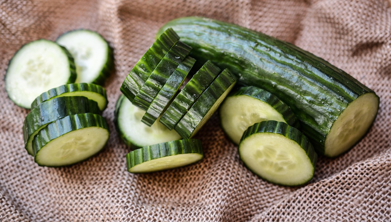 cucumber slices green free photo