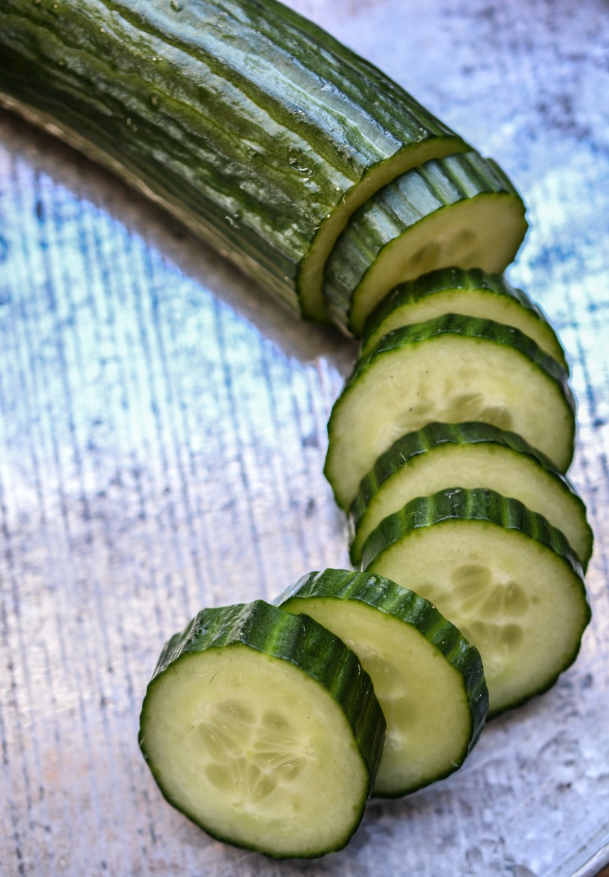 cucumber slices green free photo
