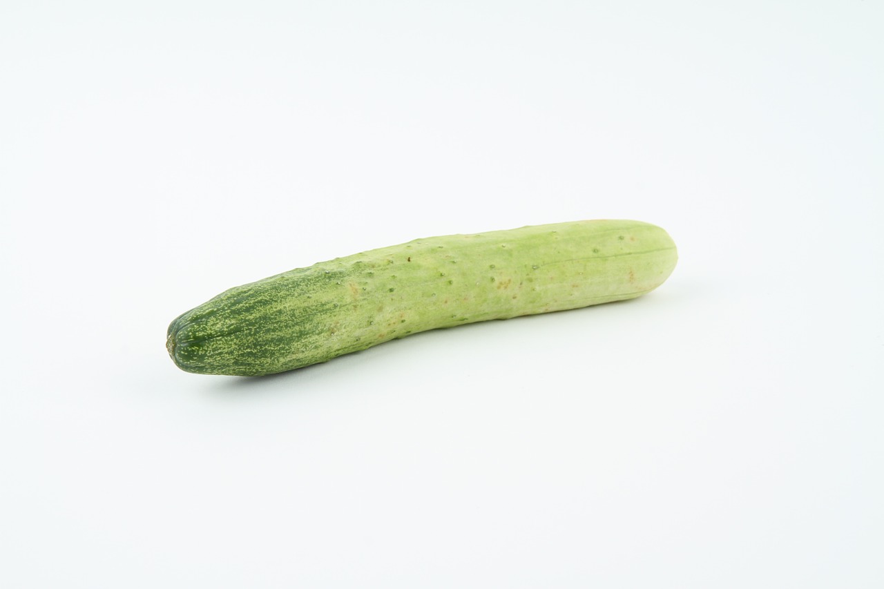 cucumber vegetables vegetable free photo
