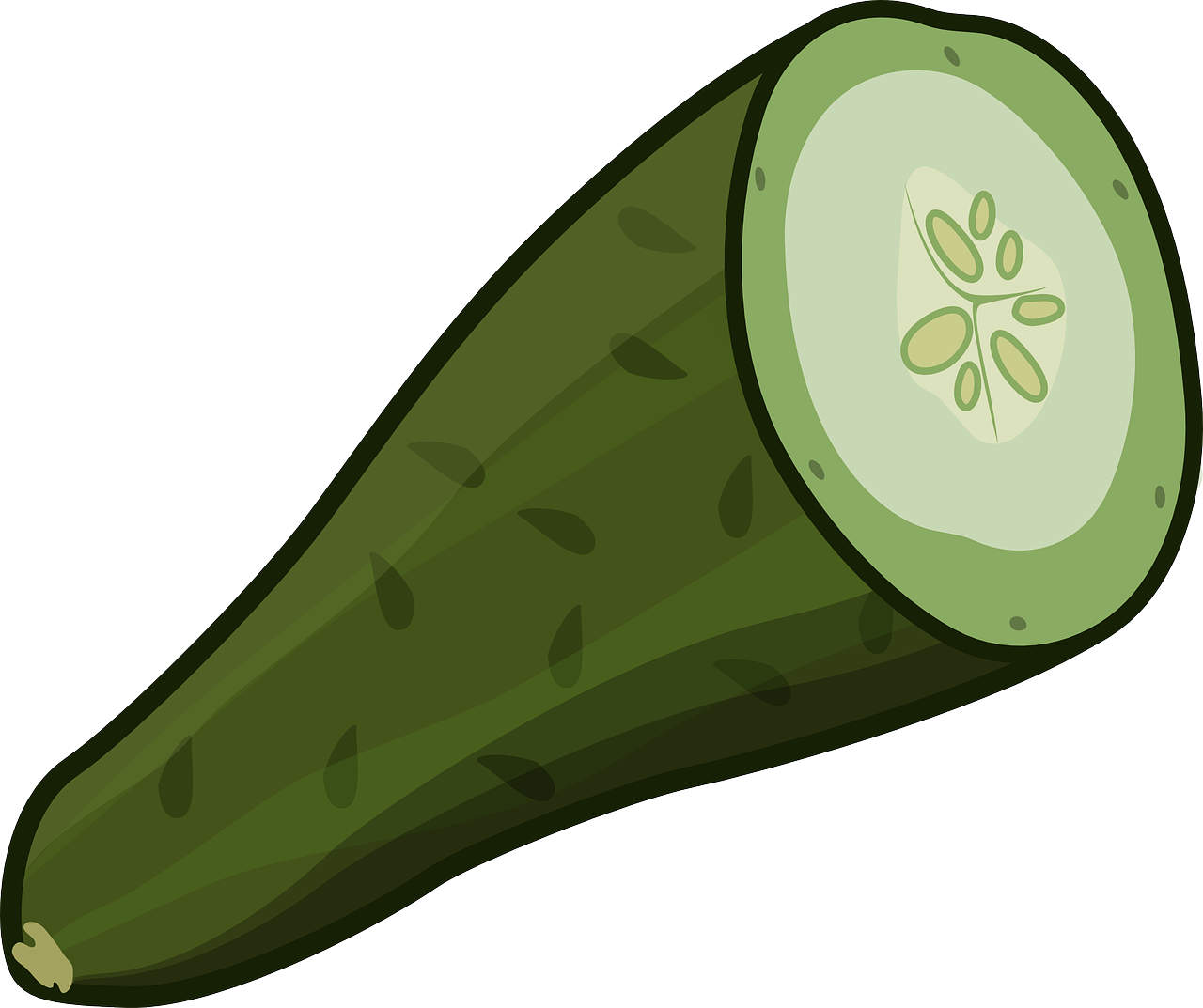 cucumber cut green free photo
