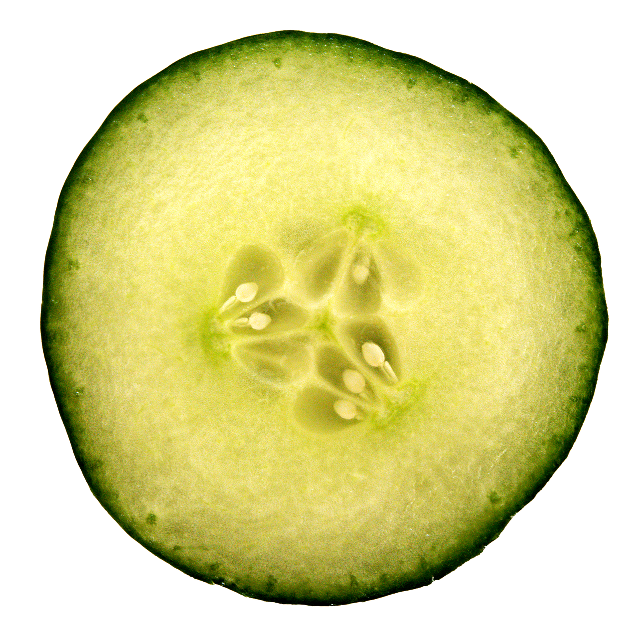 cucumber slice hydrate free photo