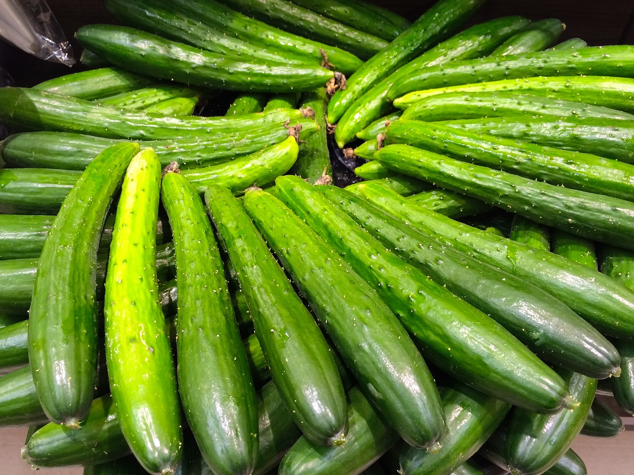 cucumber green vegetables taste free photo