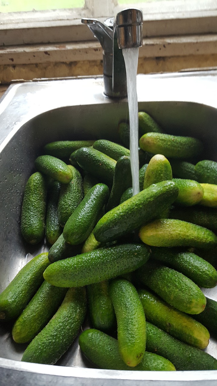 cucumber summer vegetables free photo