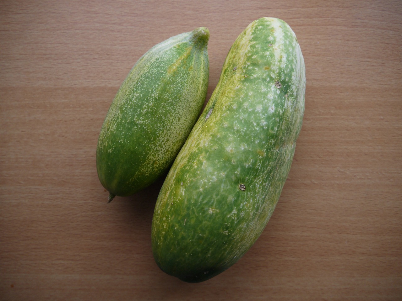 cucumber cucumbers vegetables free photo
