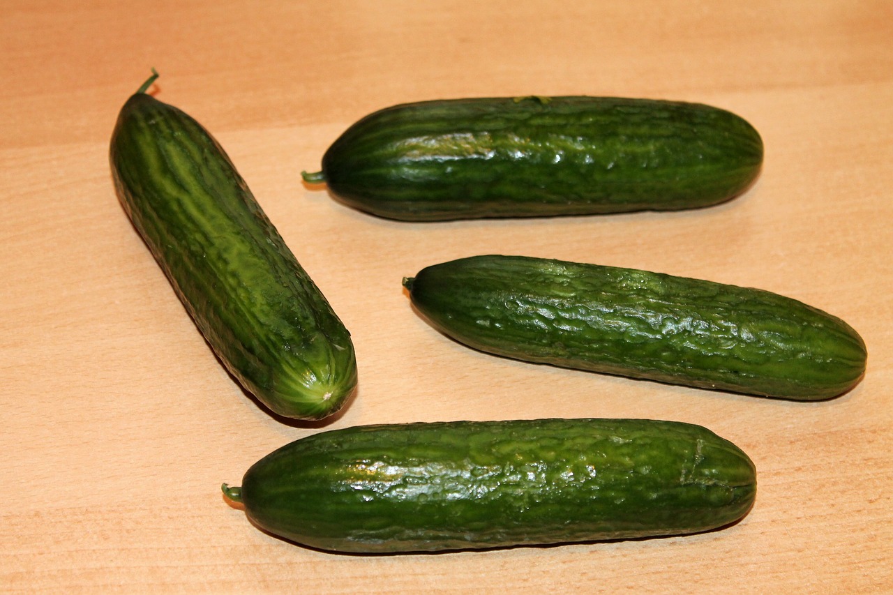 cucumber vegetables vegan free photo