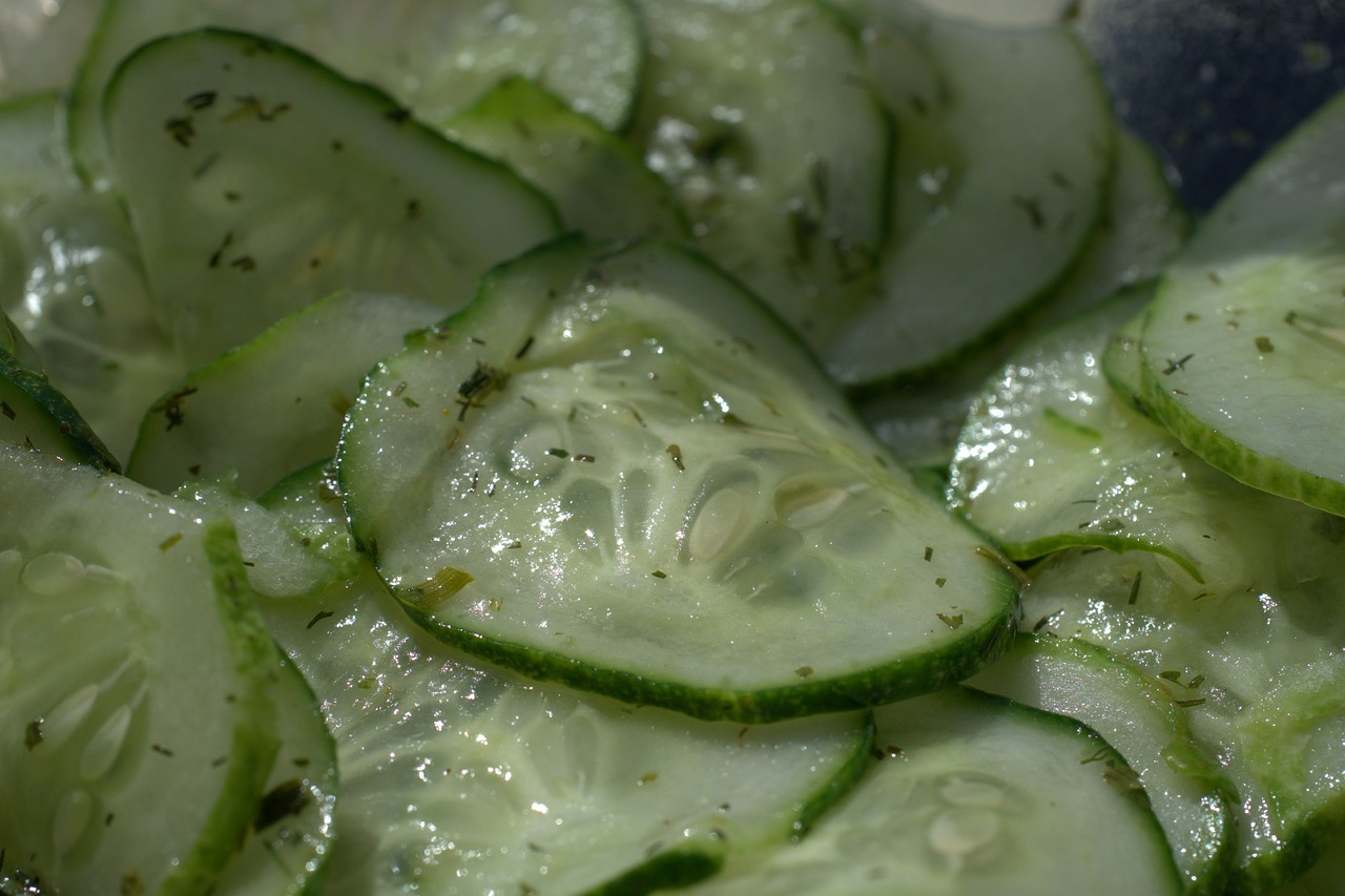 cucumber  salad  fresh free photo