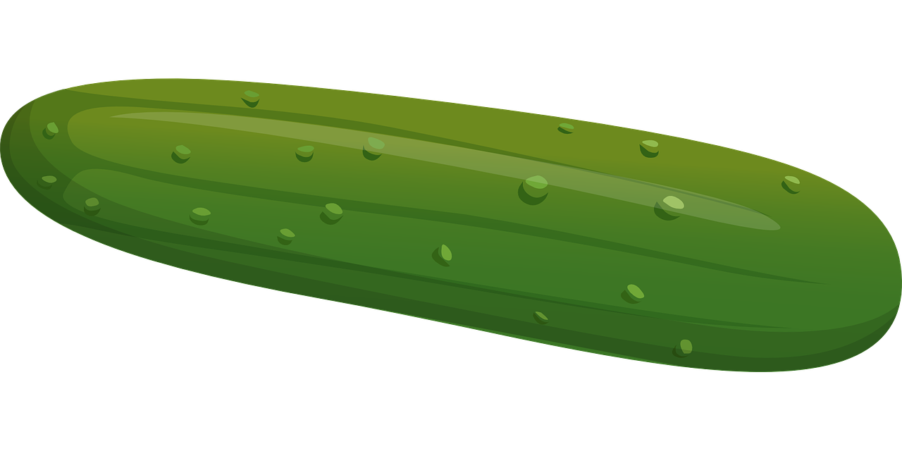 cucumber vegetable green free photo