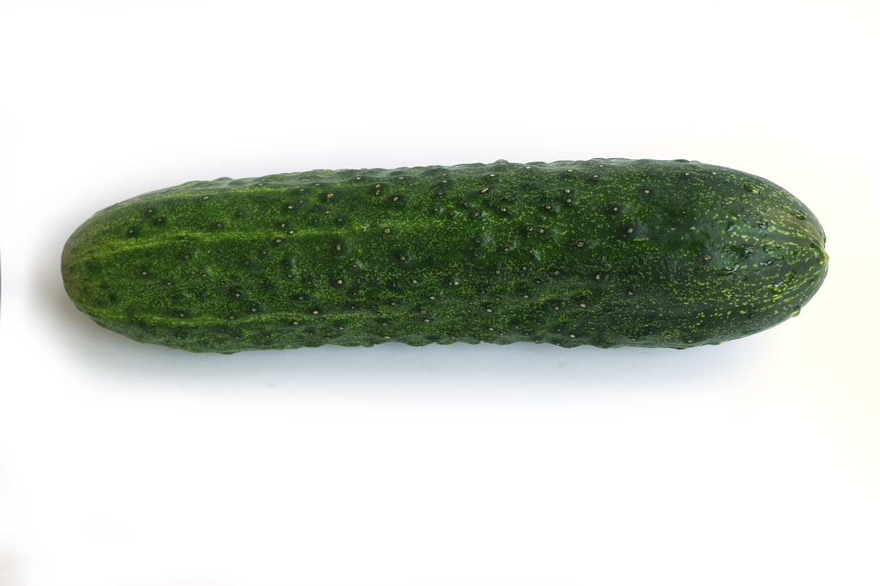 cucumber green vegetable free photo
