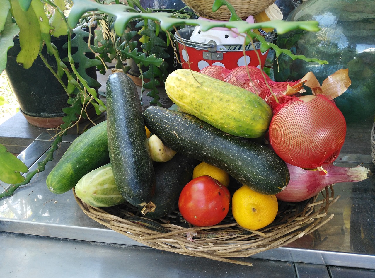 cucumber tomato courgette free photo