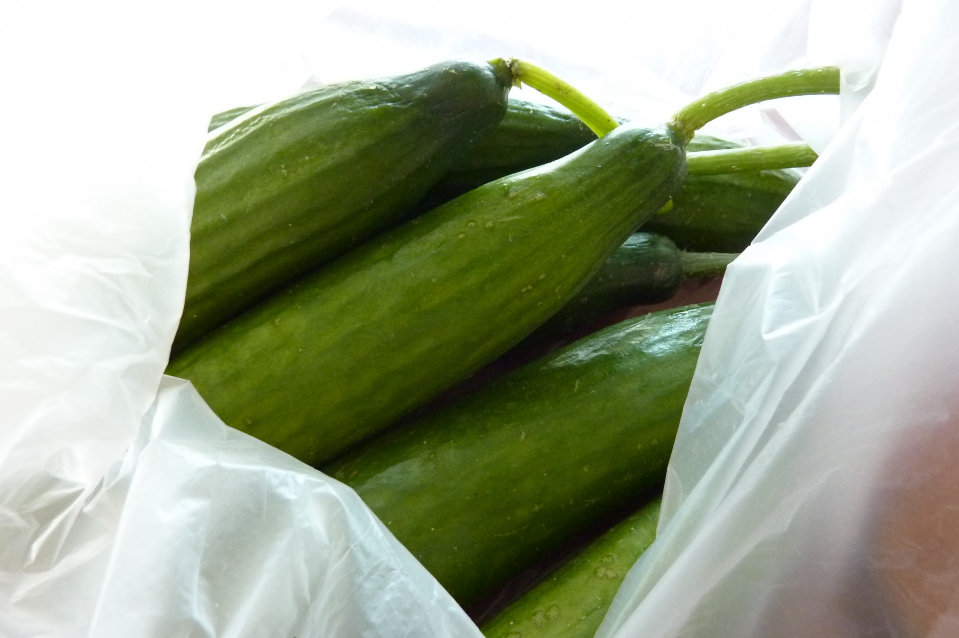lebanese cucumber bag vegetable free photo