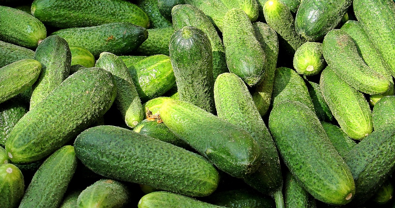cucumbers farmers local market vegetable market free photo