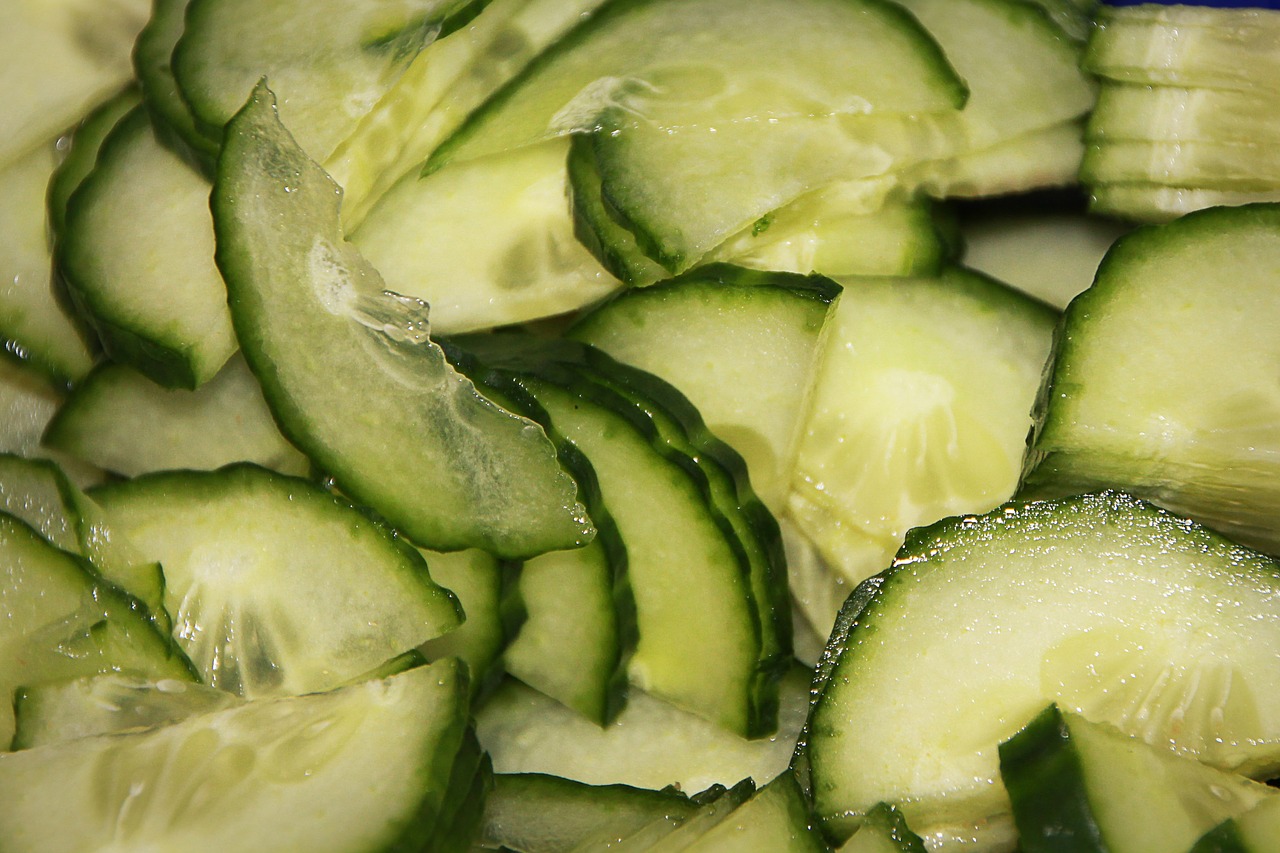 cucumbers salad green free photo