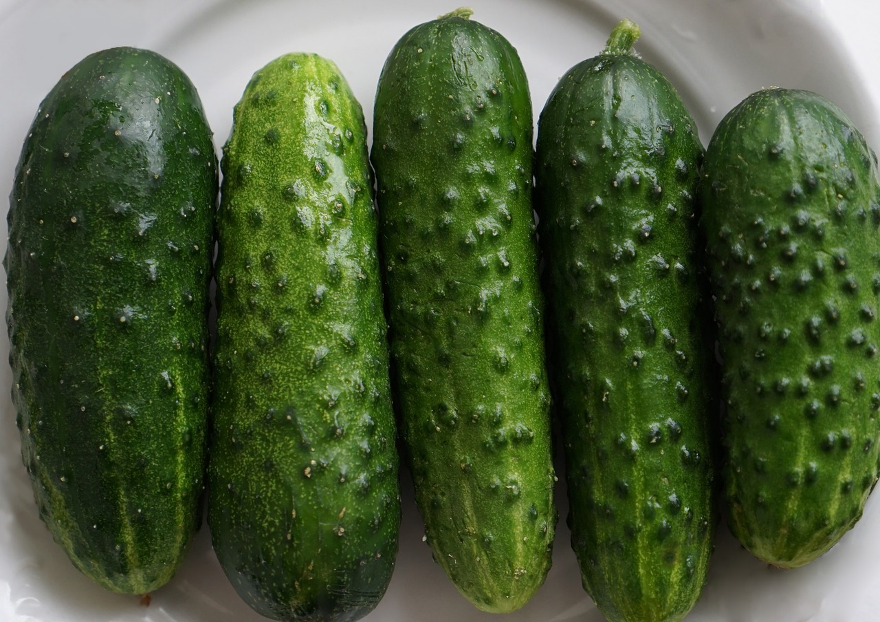 cucumbers vegetables food free photo