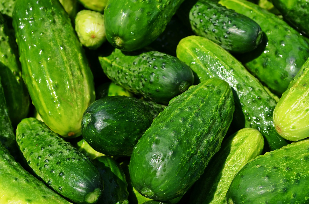 cucumbers vegetables eating free photo