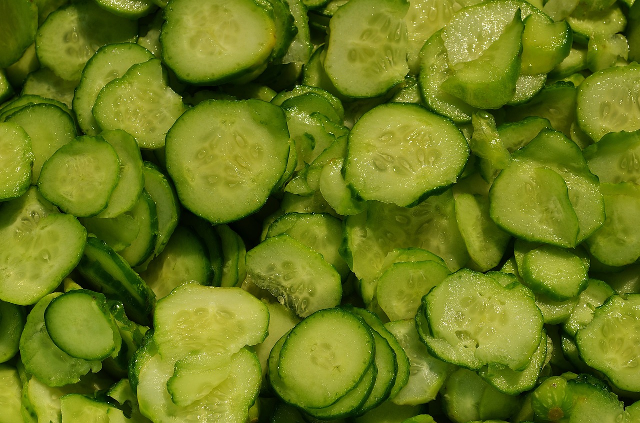 cucumbers salad mizeria free photo