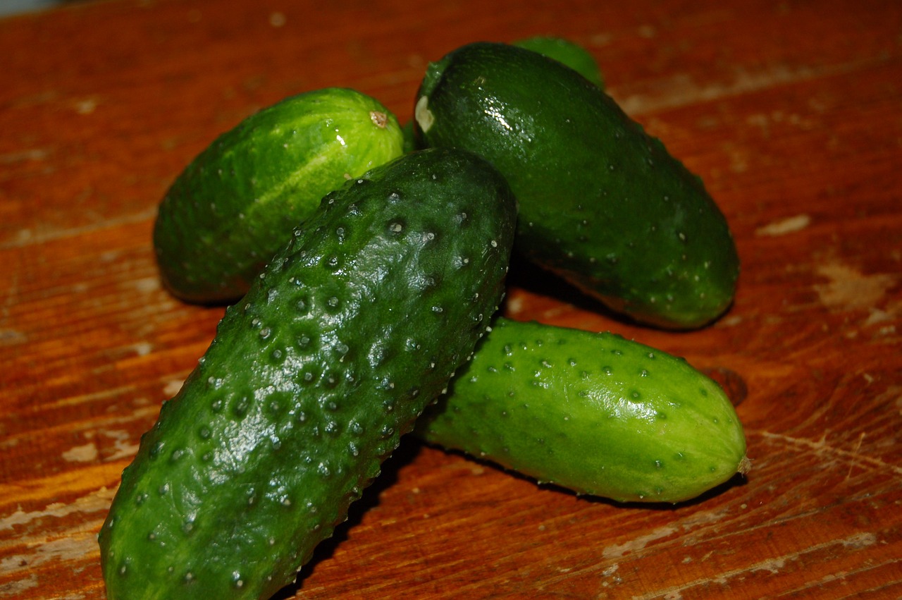 cucumbers vegetables cucumber free photo
