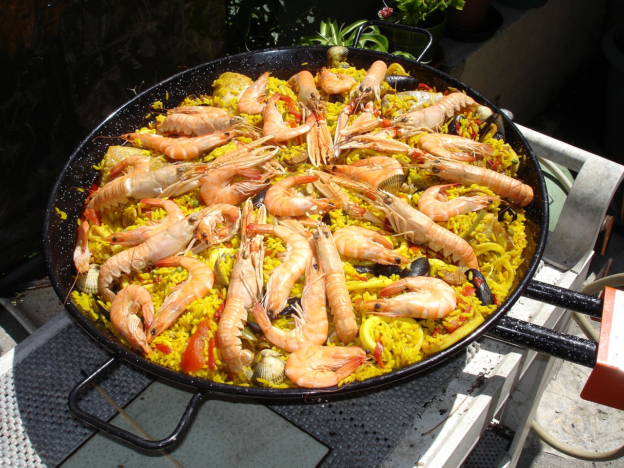 cuisine espagnol paella free photo