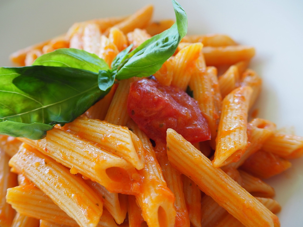 cuisine basilico tomato free photo