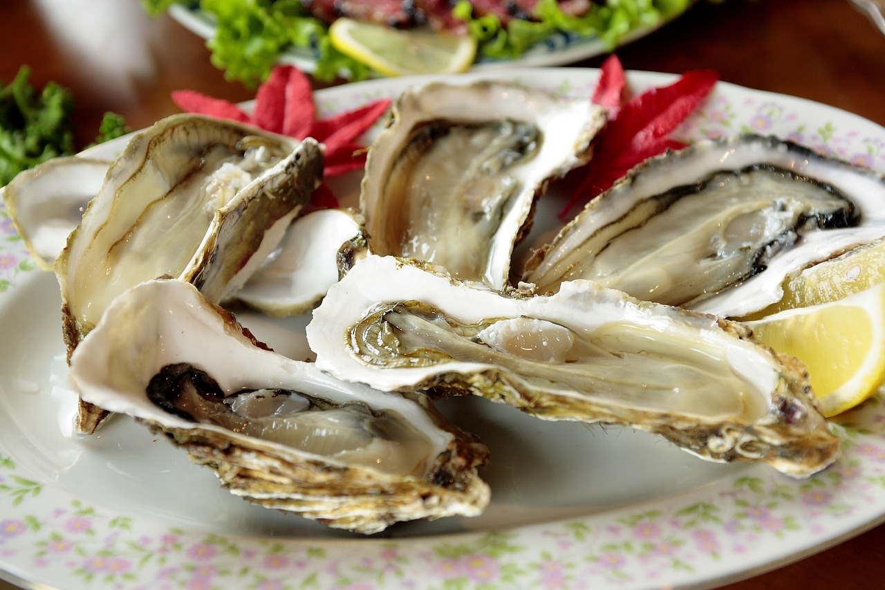 cuisine shell oyster free photo