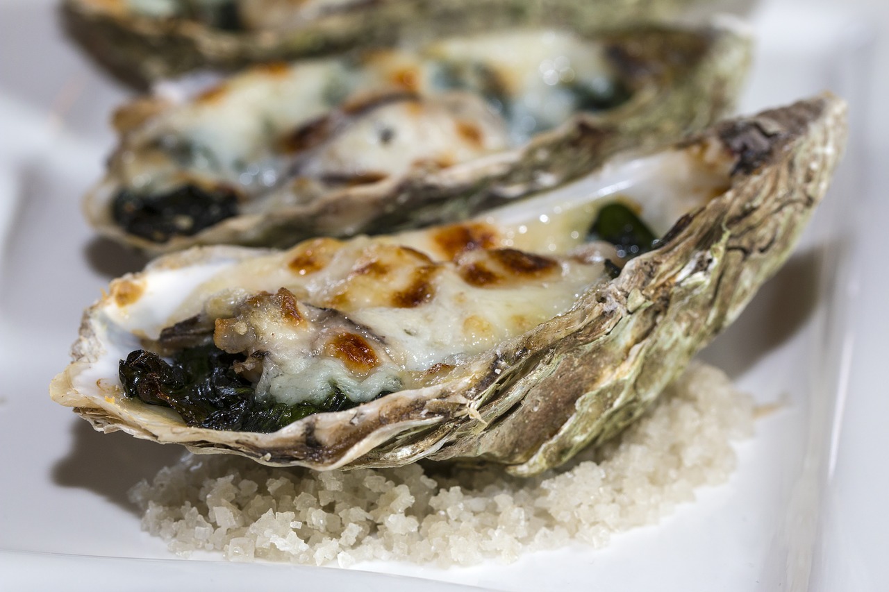 culinary  rockfeler  oyster free photo