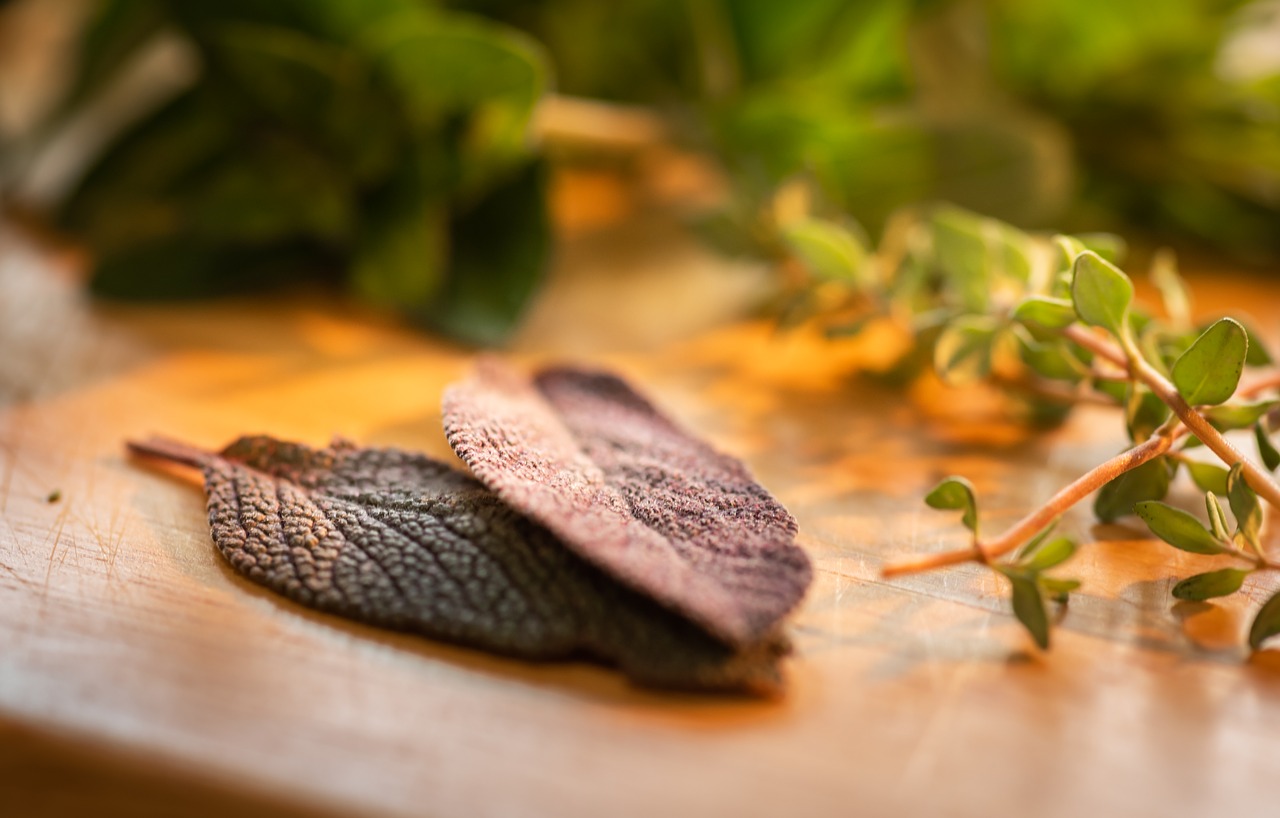 culinary herbs  sage  close-up free photo