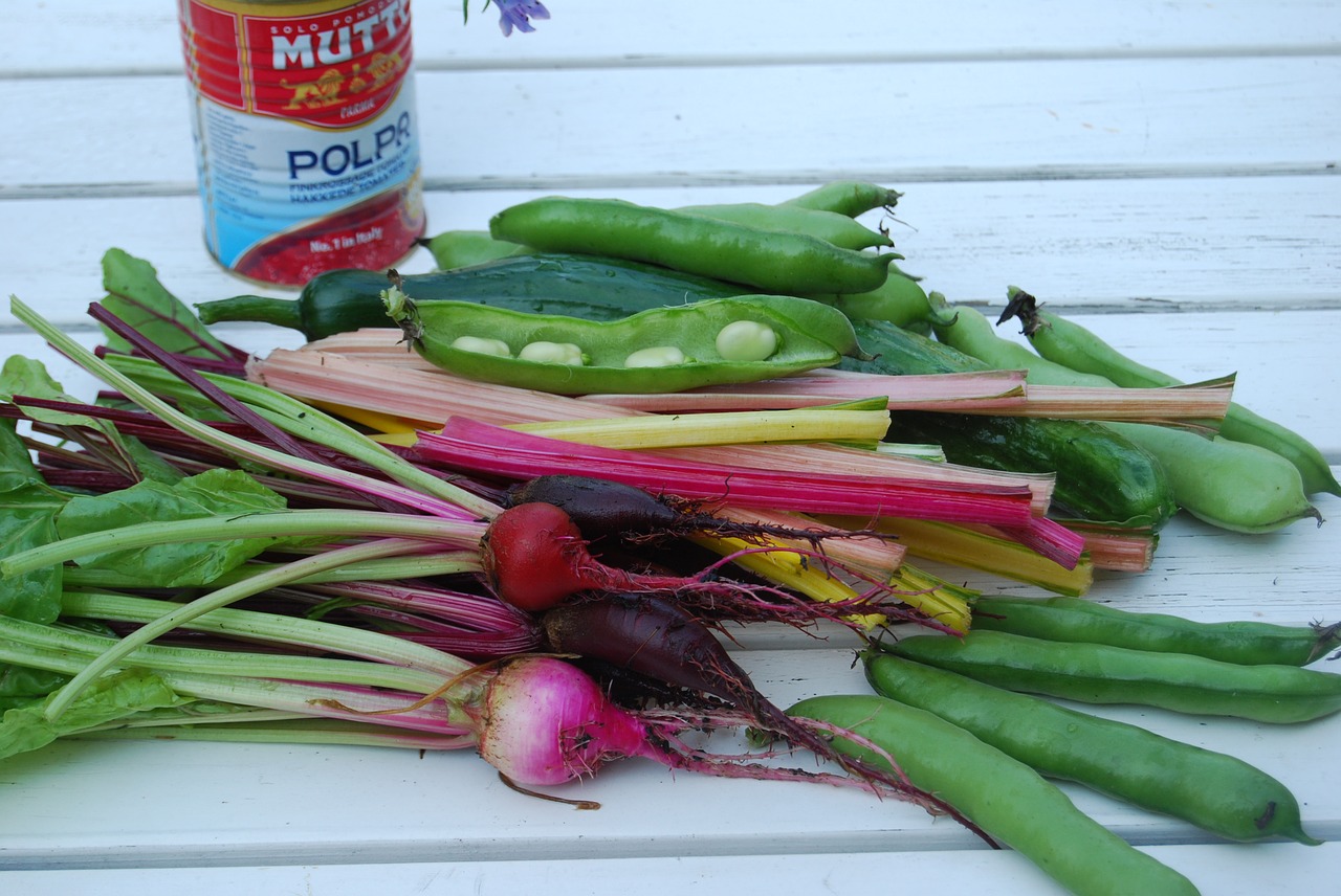 cultivation beans garden free photo