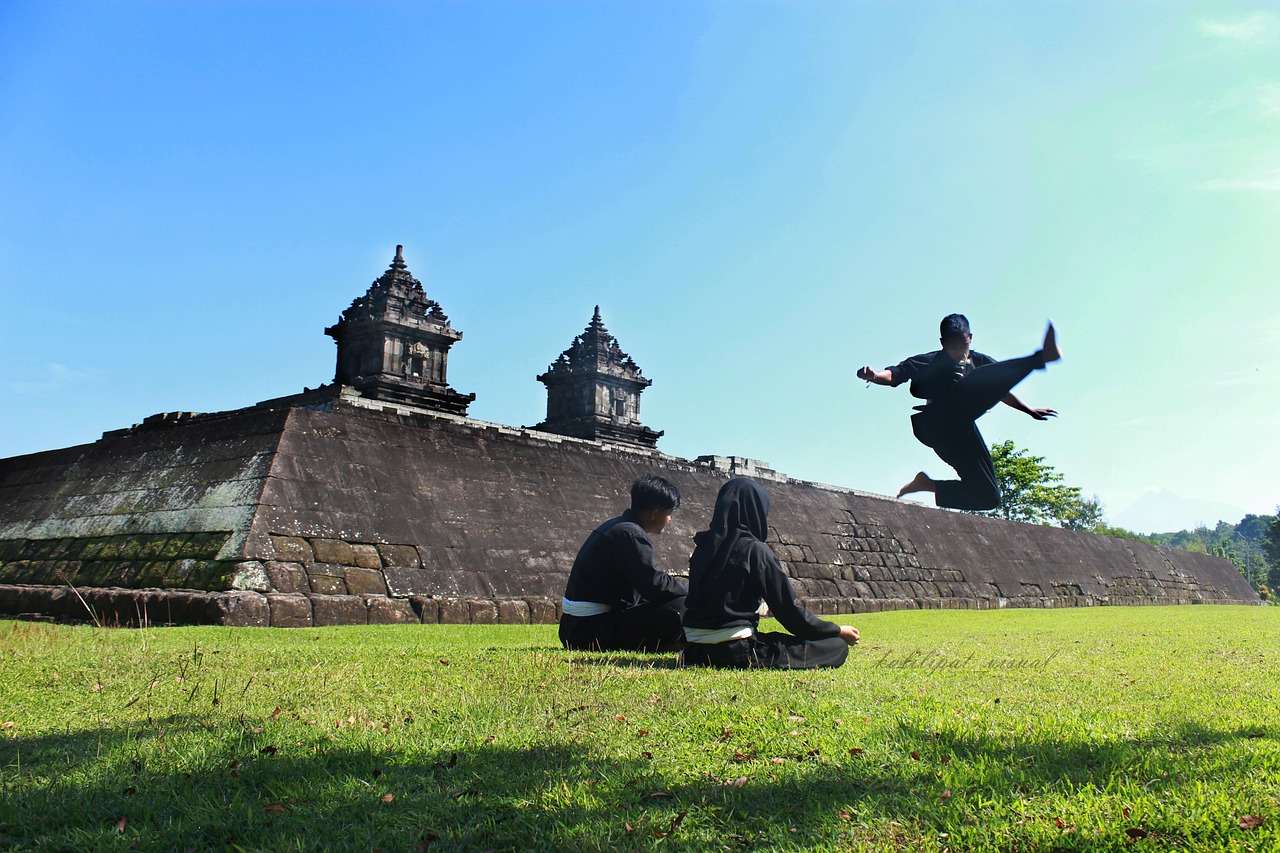 culture traditional silat free photo