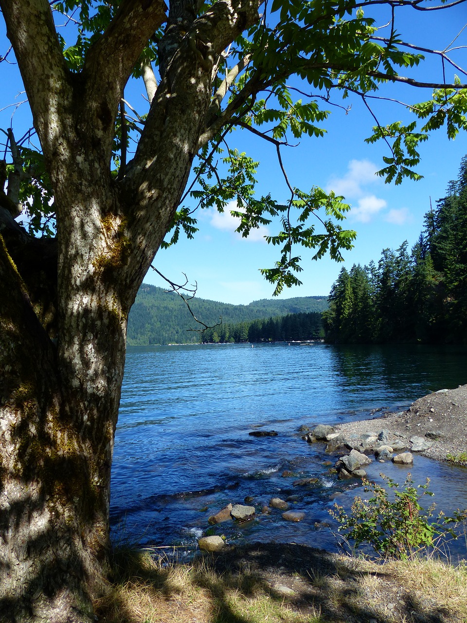 cultus lake water mountain free photo