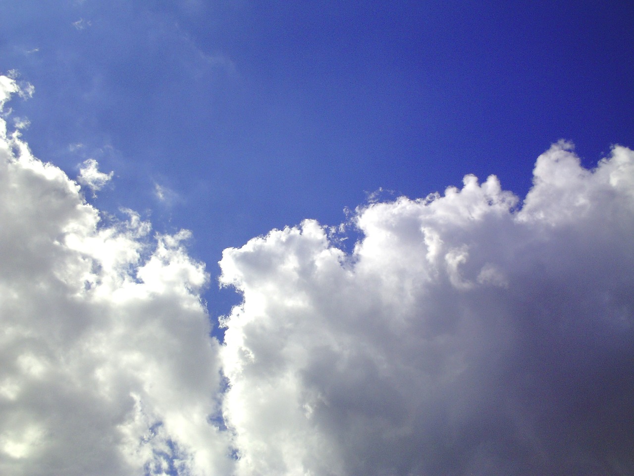 cumulus clouds sky free photo