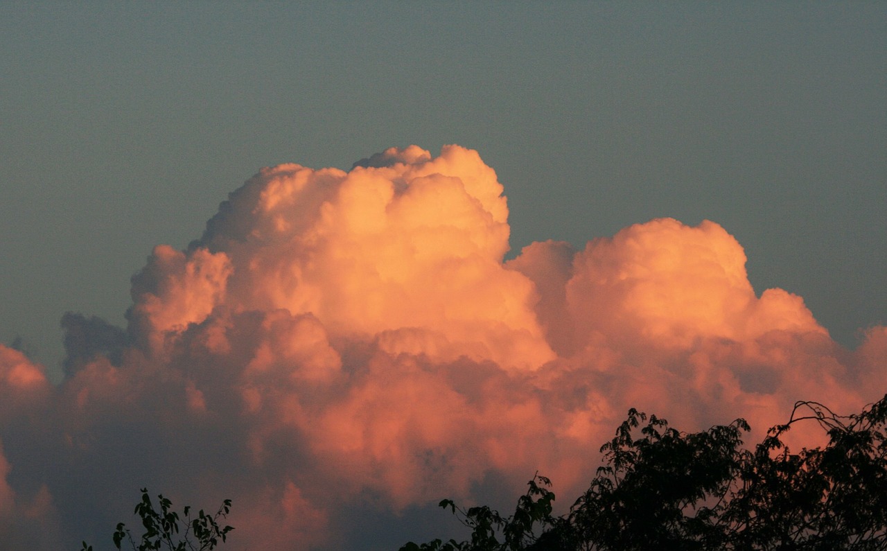 cumulus cloud cloud pink free photo