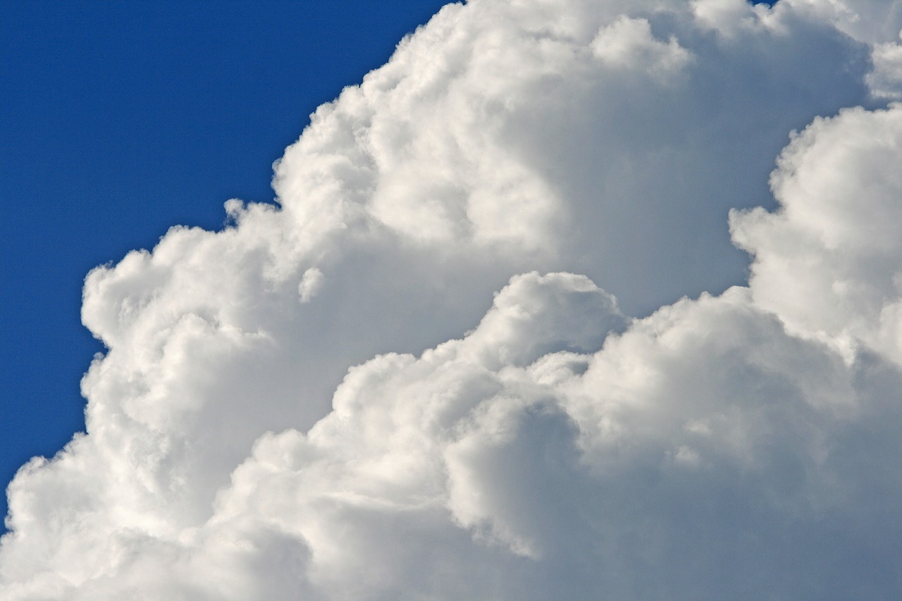 cumulus clouds clouds large free photo