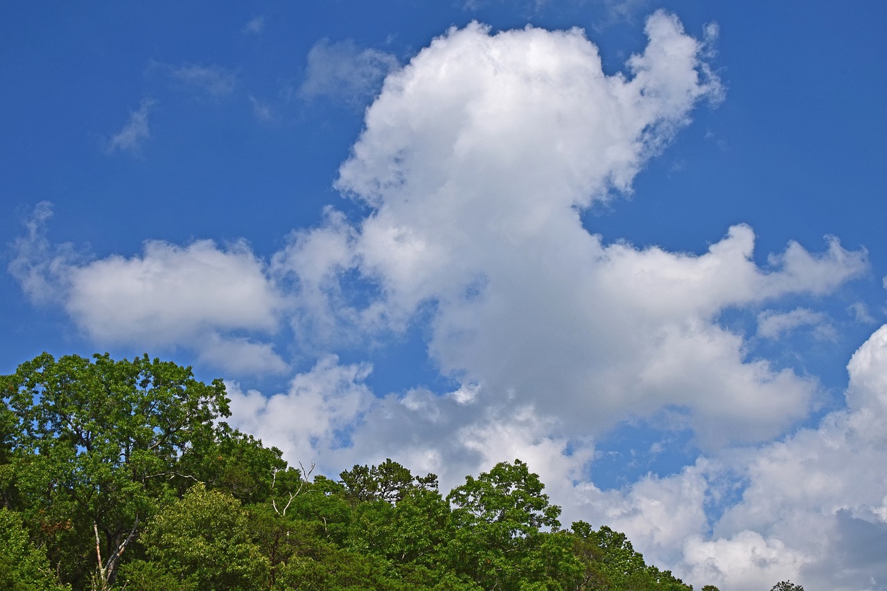 cumulus clouds over the trees tennessee usa free photo