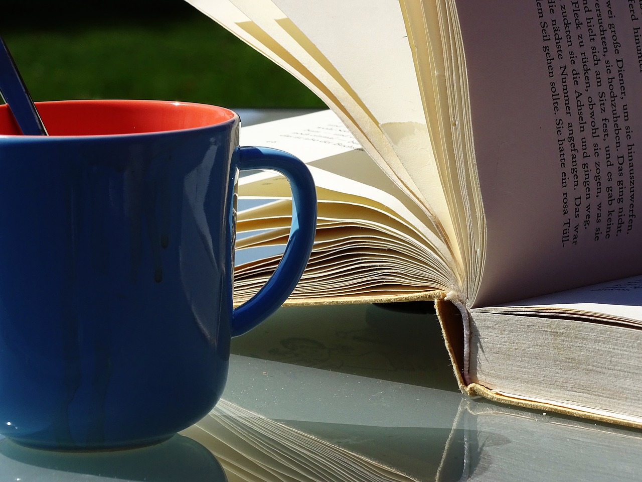 cup books read free photo