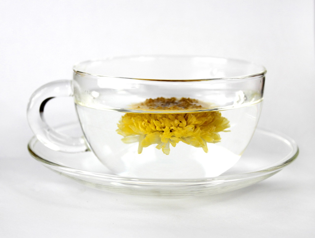 cup tea chrysanthemum tea free photo