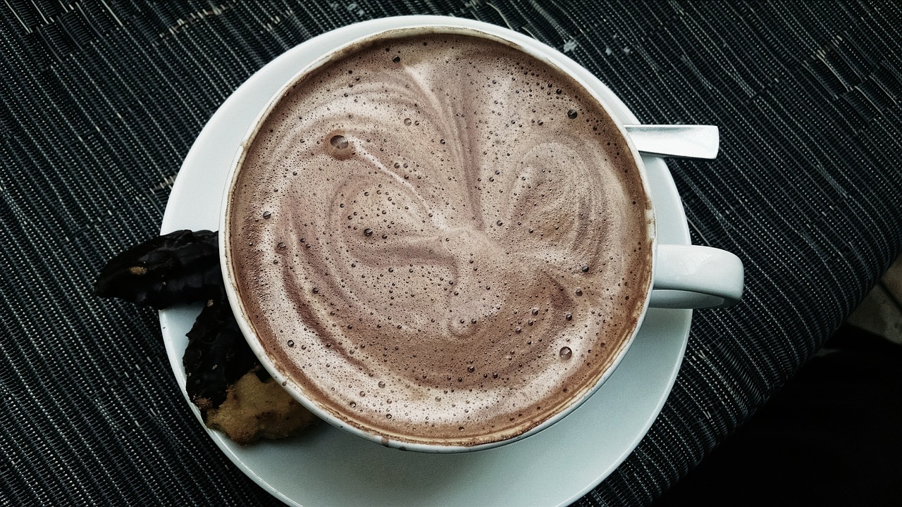 cup hot chocolate drink free photo